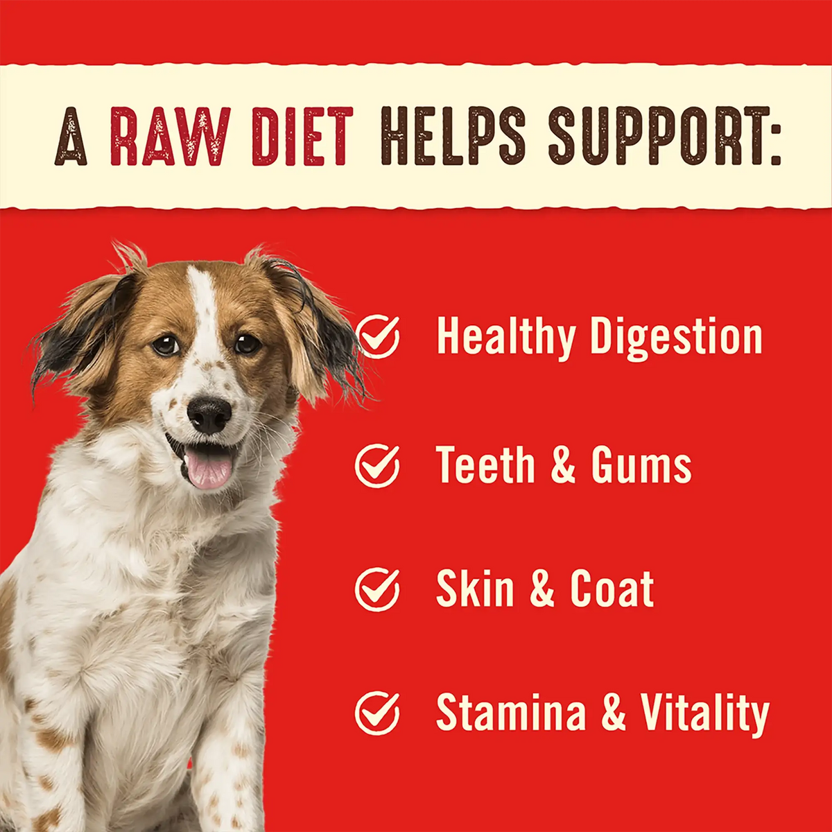 Stella &amp; Chewy&#39;s Freeze-Dried Raw Remarkable Red Meat Dinner Patties Dog Food