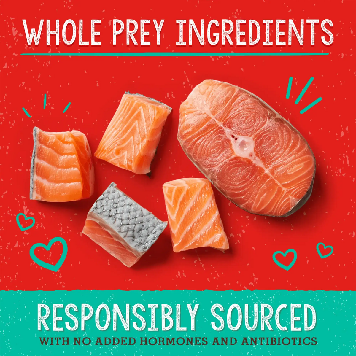 Stella &amp; Chewy&#39;s Freeze-Dried Raw Savory Salmon &amp; Cod Meal Mixers Dog Food Topper
