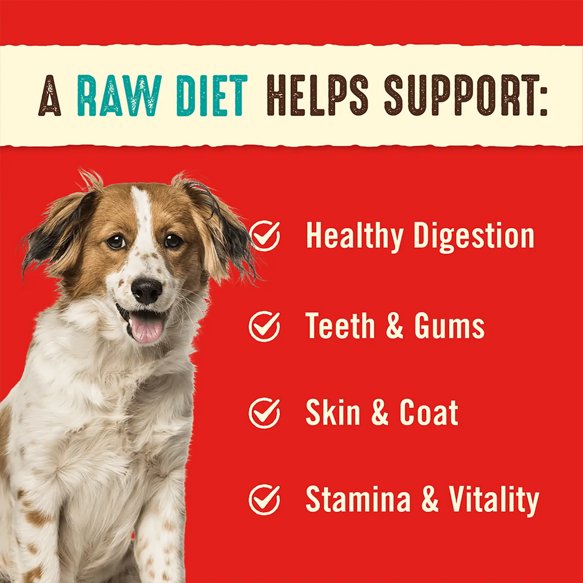 Stella &amp; Chewy&#39;s Freeze-Dried Raw Surf &amp; Turf Dinner Patties Dog Food