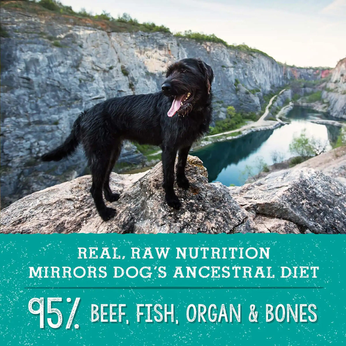 Stella &amp; Chewy&#39;s Freeze-Dried Raw Surf &amp; Turf Meal Mixers Dog Food Topper
