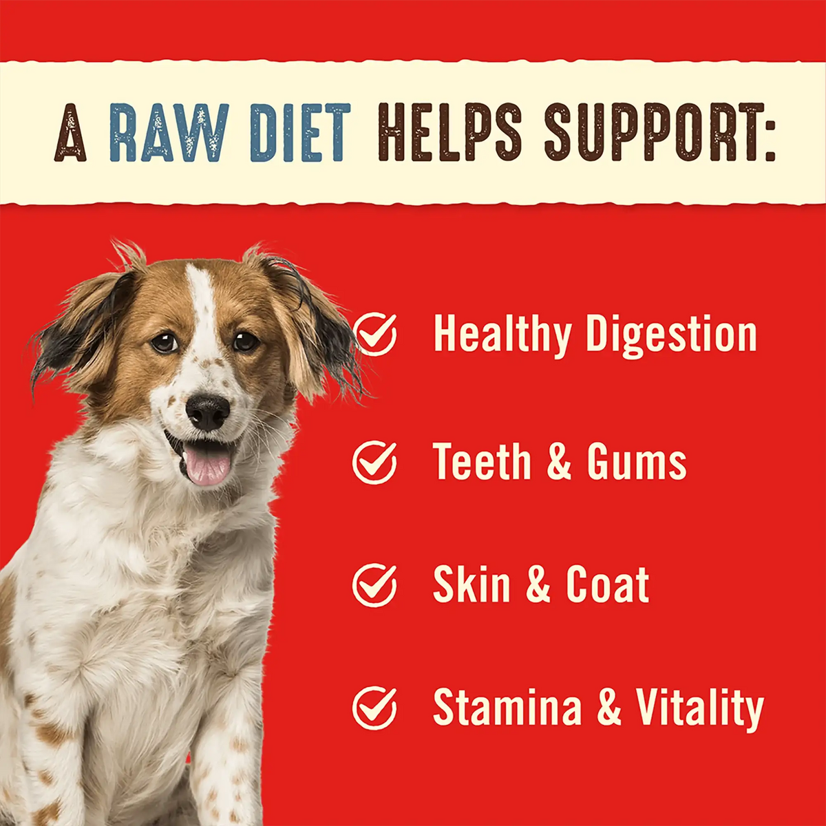 Stella &amp; Chewy&#39;s Freeze-Dried Raw Simply Venison Dinner Patties Dog Food