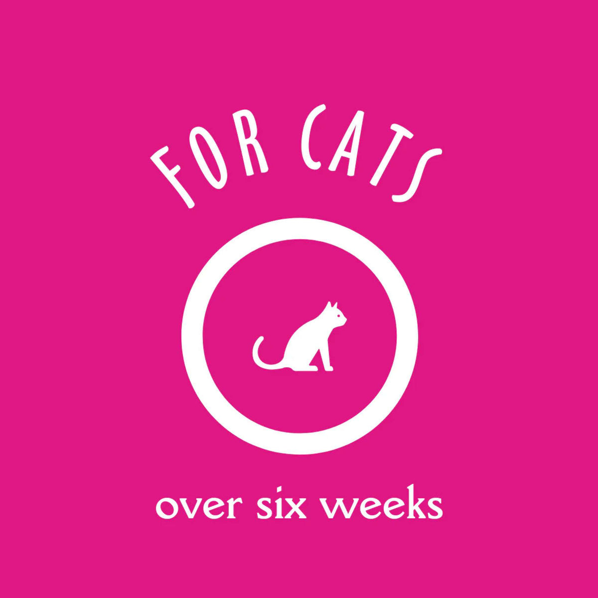 Earthbath Hypoallergenic Cat Shampoo Fragrance Free