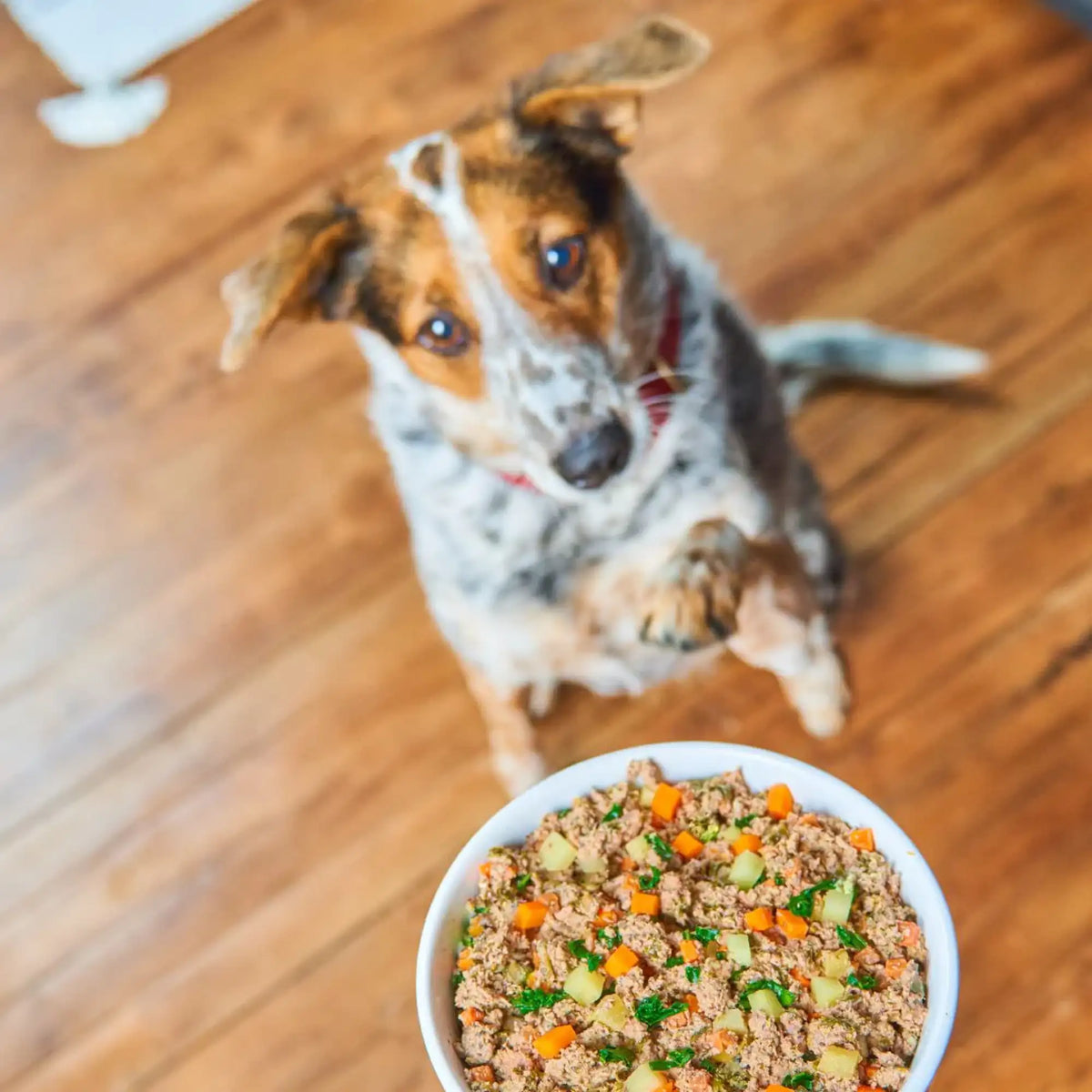 Stella &amp; Chewy&#39;s Fresh Made Wholesome Grains Beef, Barley &amp; Turkey Gently Cooked Dog Food