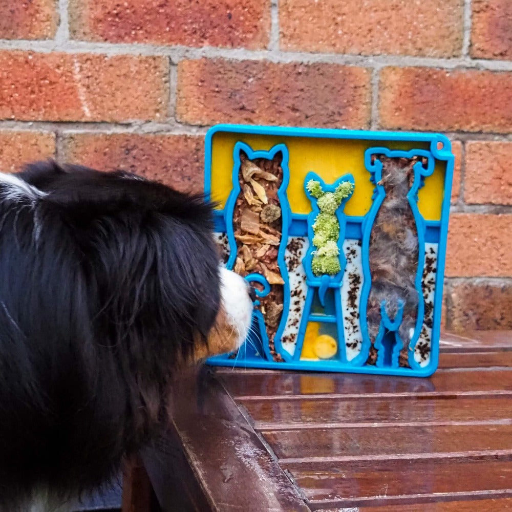 SodaPup Waiting Dogs Design eTray Enrichment Tray for Dogs