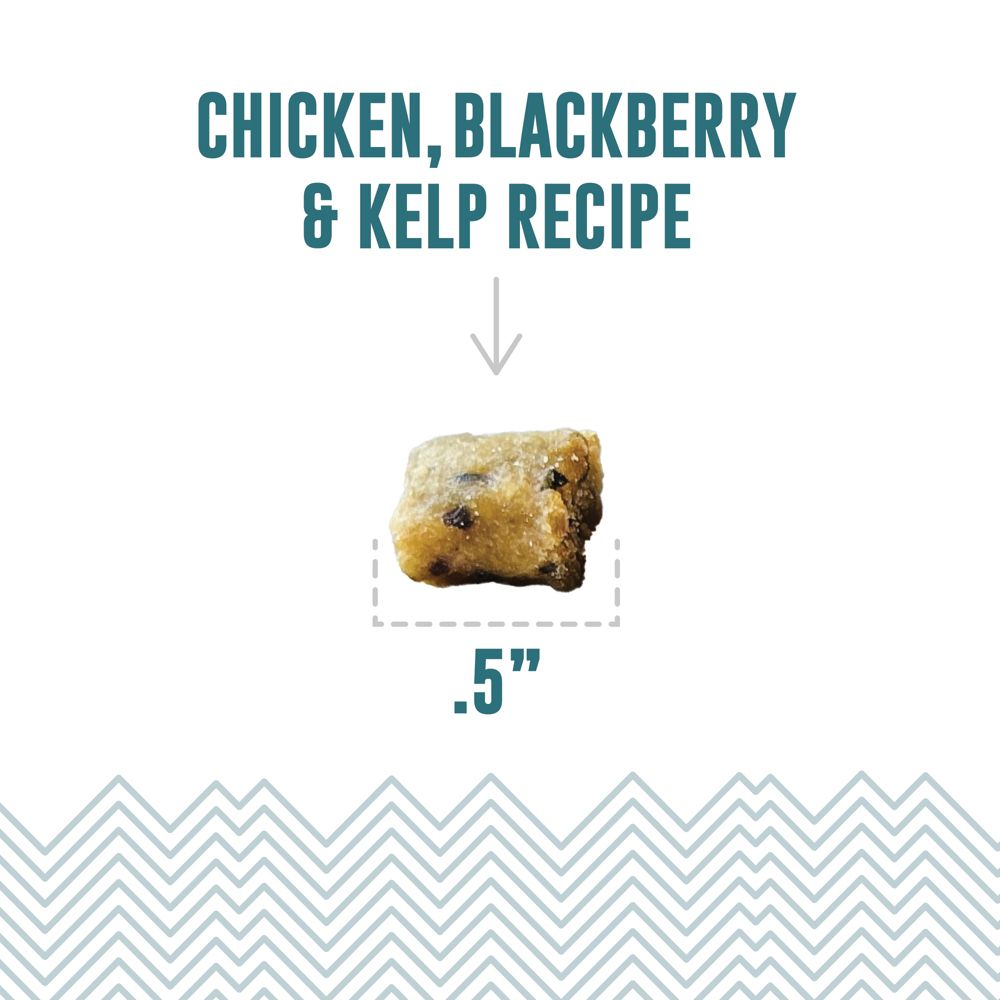 Icelandic+ Soft & Chewy Bites Chicken, Blackberry & Kelp Cat Treats