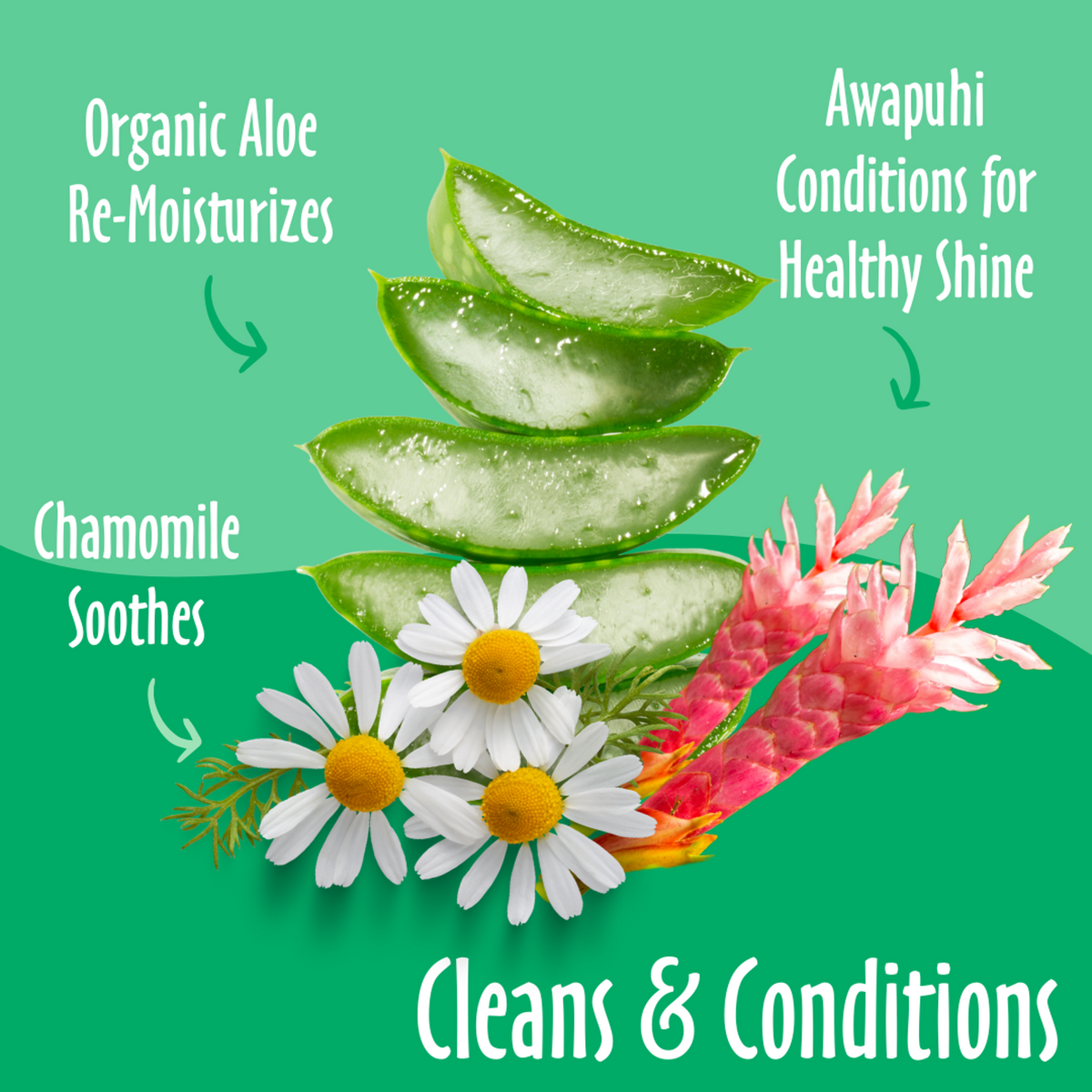 Earthbath Pet Grooming Wipes Green Tea & Awapuhi