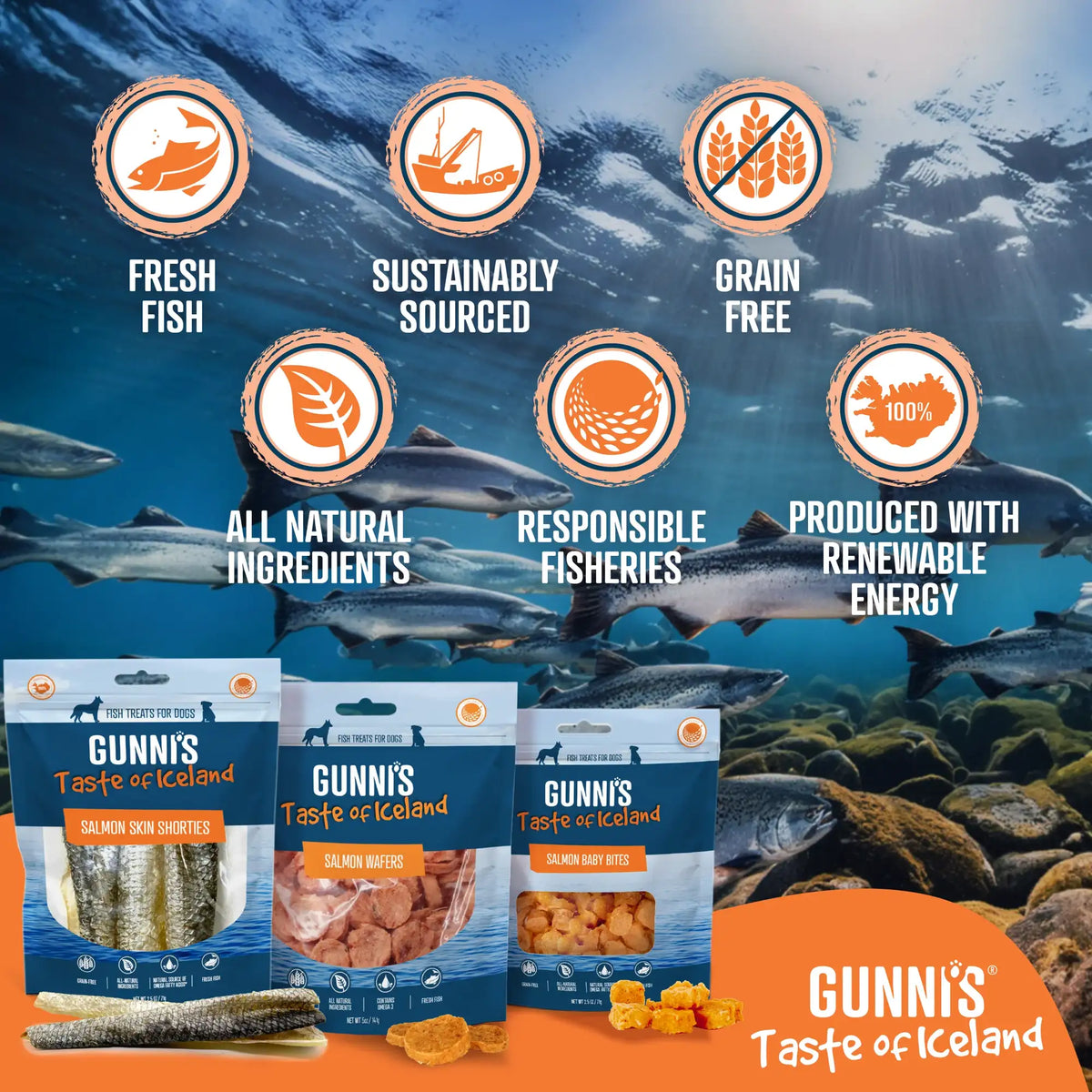 Gunni&#39;s Pet Taste of Iceland Salmon Baby Bites Dog Treats