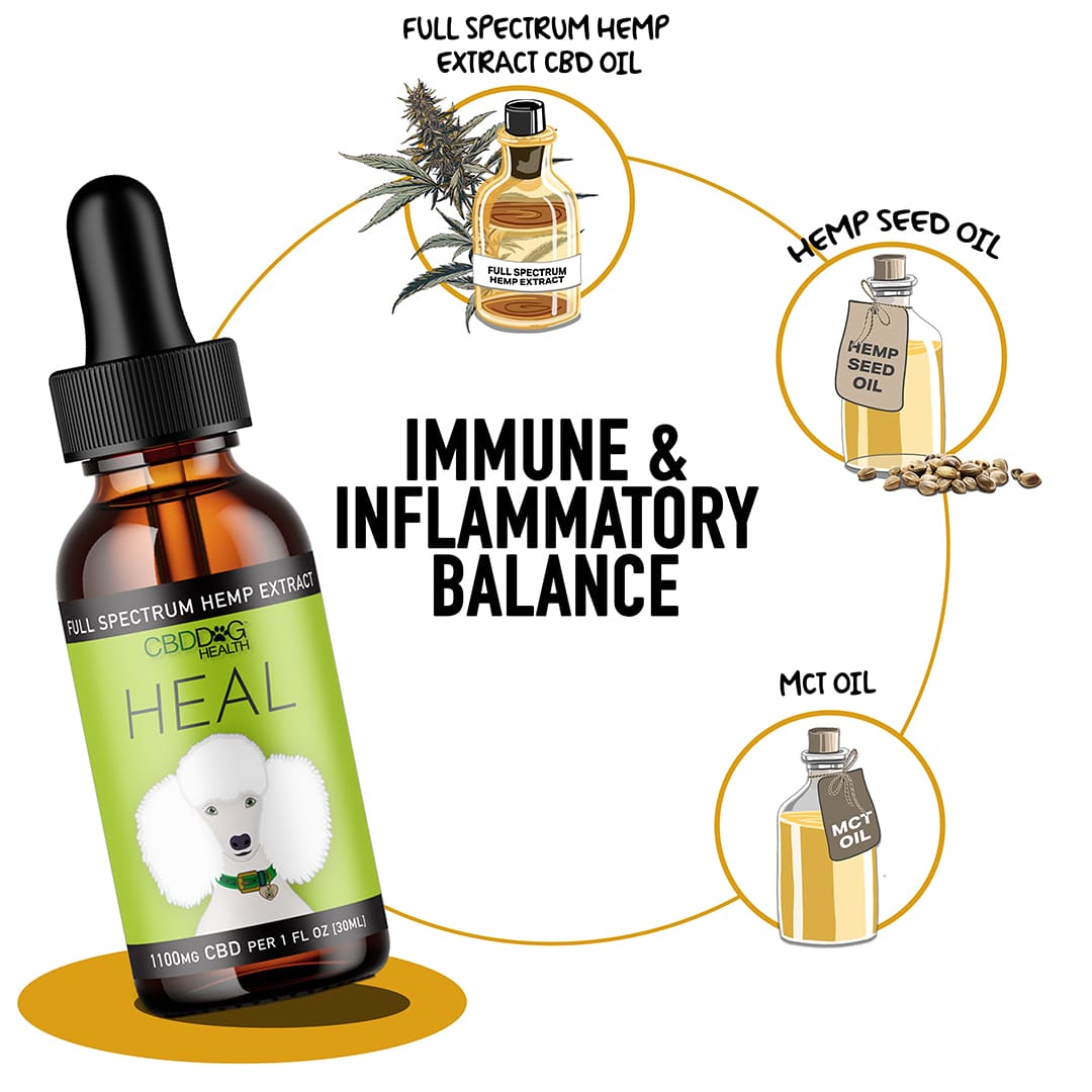CBD Dog Health HEAL CBD Oil for Dogs