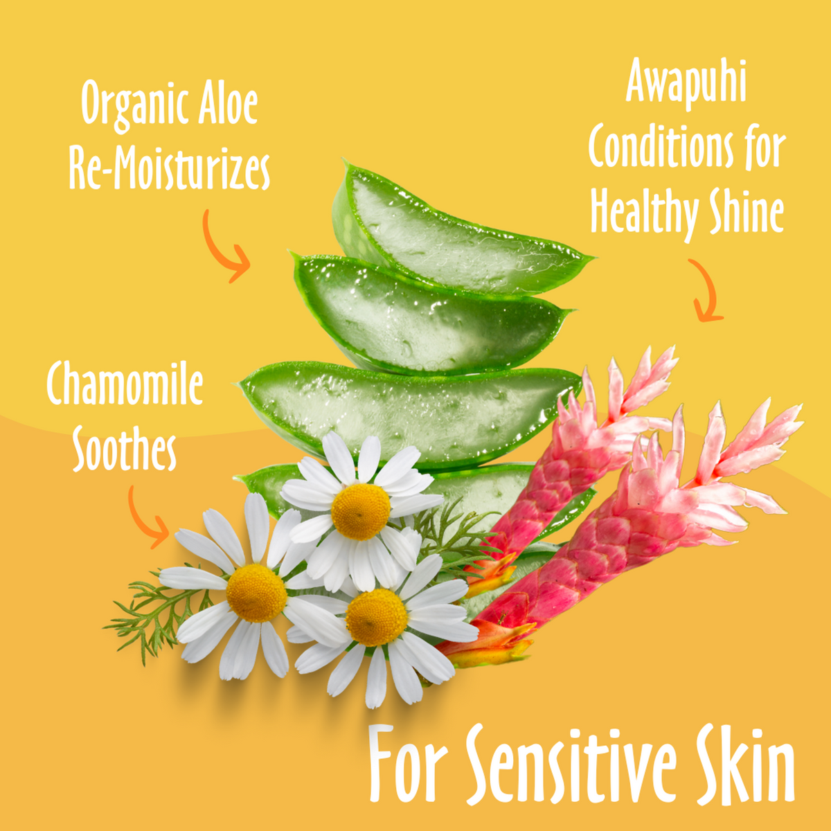 Earthbath Cat Hypoallergenic Wipes Fragrance Free