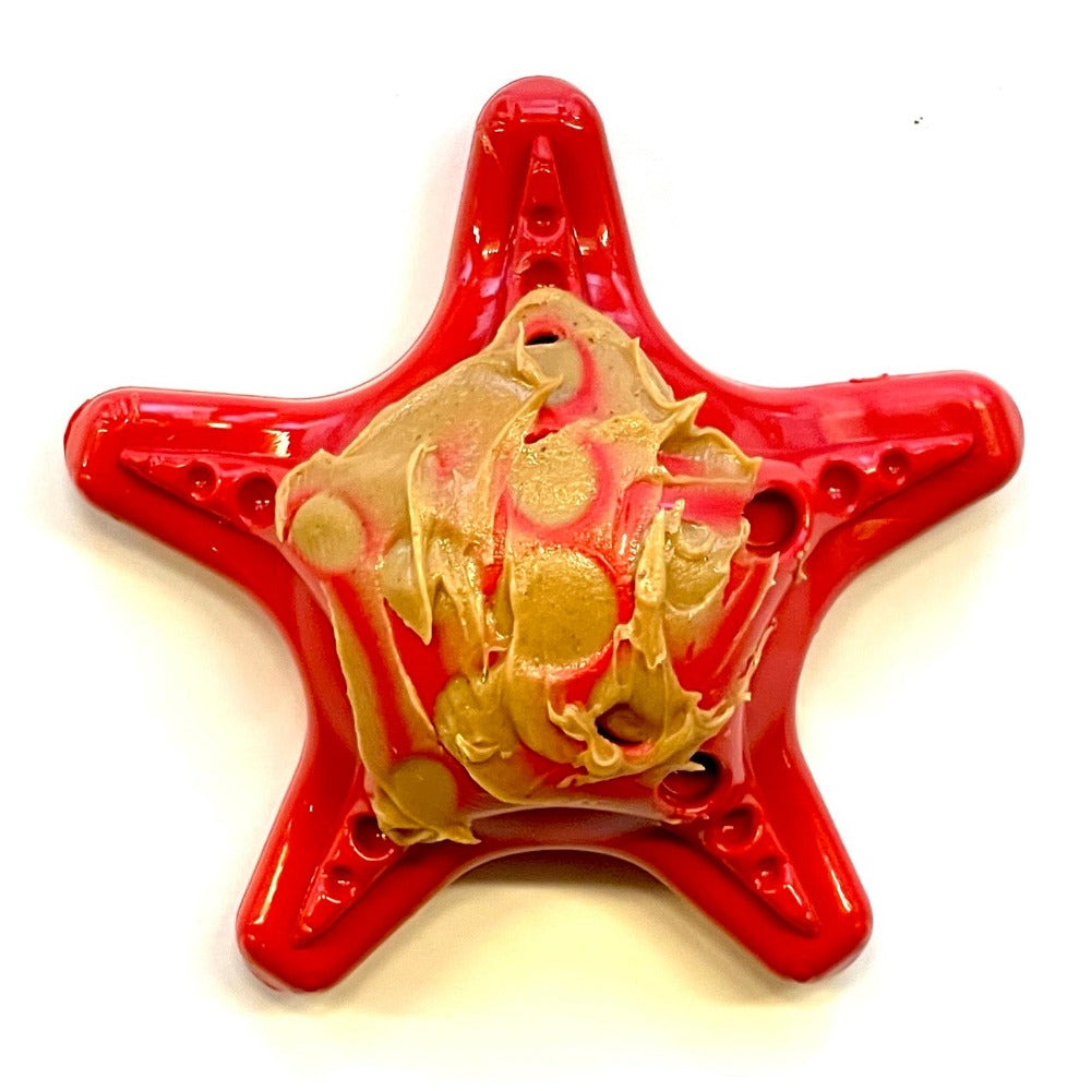 SodaPup Starfish Ultra Durable Nylon for Aggressive Chewers Dog Chew Toy