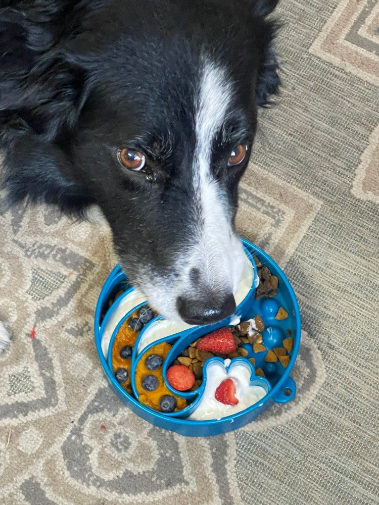 SodaPup Wave Design eBowl Enrichment Slow Feeder Bowl for Dogs