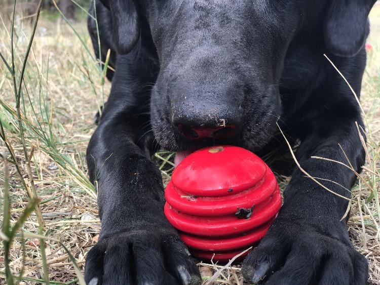SodaPup USA-K9 Stars and Stripes Ultra-Durable Rubber Chew Ball