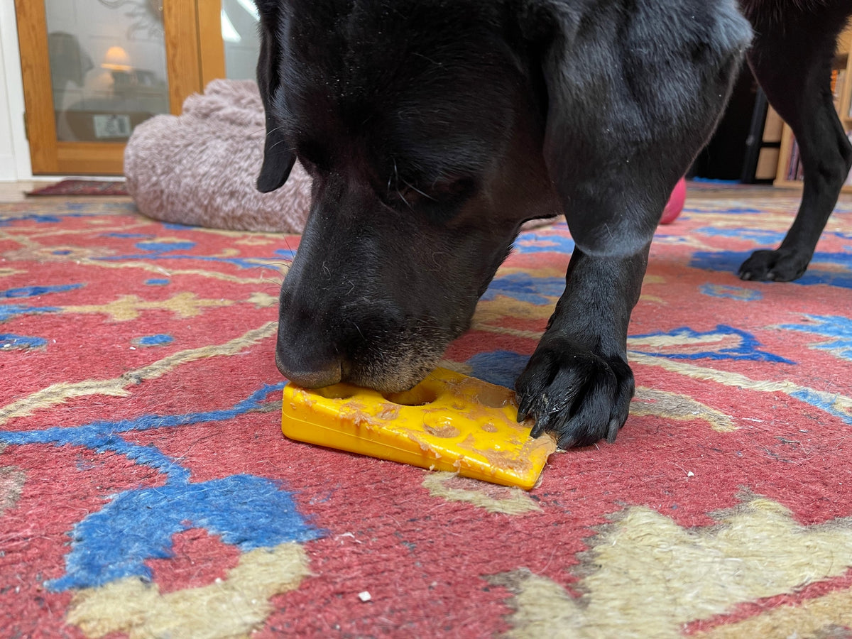 SodaPup Swiss Cheese Wedge Durable Nylon Dog Chew Toy