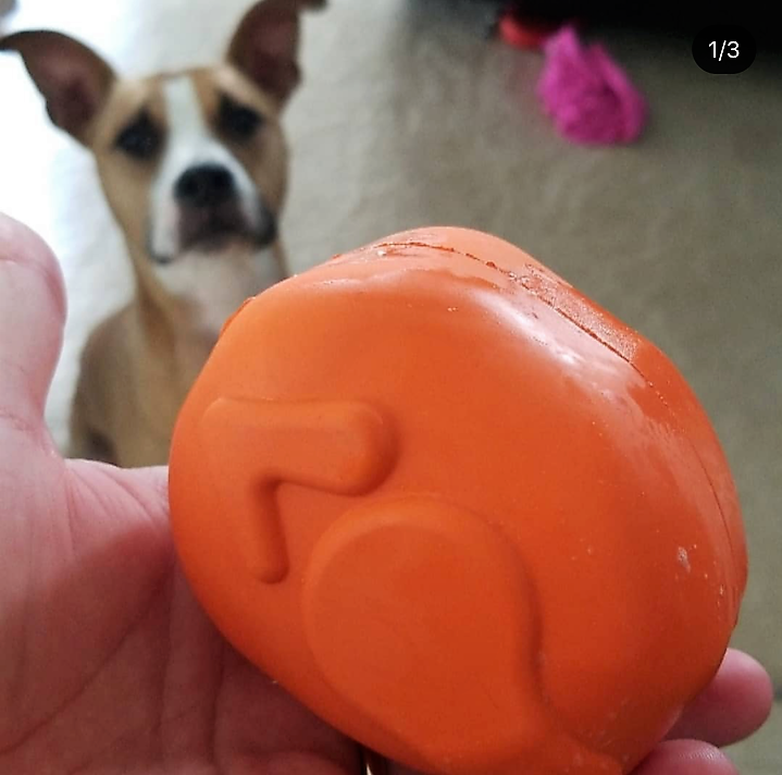 SodaPup Roasted Turkey Durable Rubber Chew Toy & Treat Dispenser