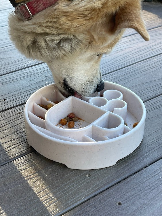 SodaPup Java Design eBowl Enrichment Slow Feeder Bowl for Dogs