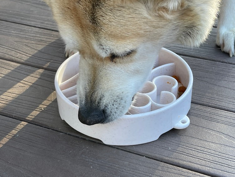 SodaPup Java Design eBowl Enrichment Slow Feeder Bowl for Dogs