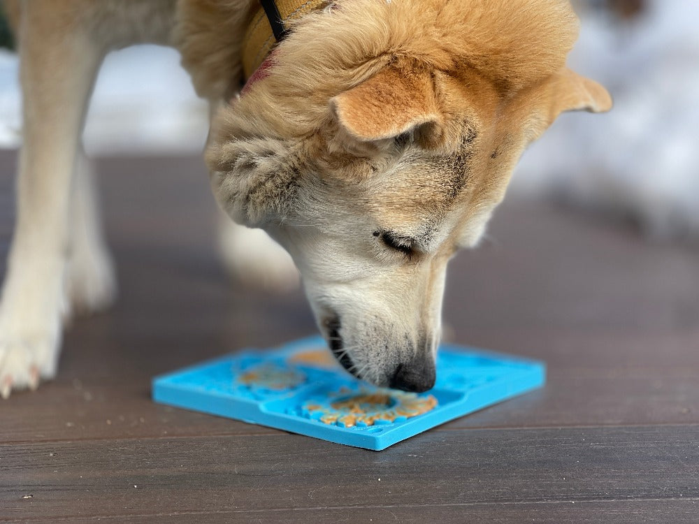 SodaPup Sky Design eMat Enrichment Lick Mat