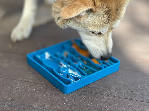 SodaPup Waiting Dogs Design eTray Enrichment Tray for Dogs