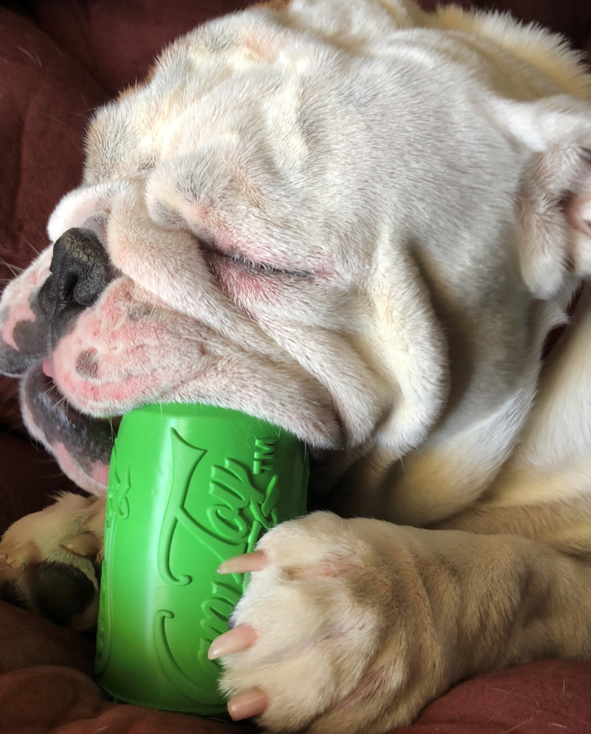 SodaPup Can Toy Durable Rubber Chew Toy & Treat Dispenser for Average Chewer