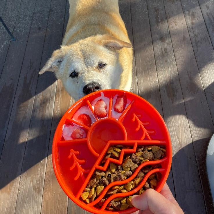 SodaPup Great Outdoors Design eBowl Enrichment Slow Feeder Bowl for Dogs