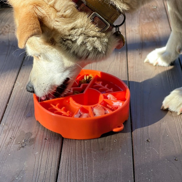SodaPup Great Outdoors Design eBowl Enrichment Slow Feeder Bowl for Dogs