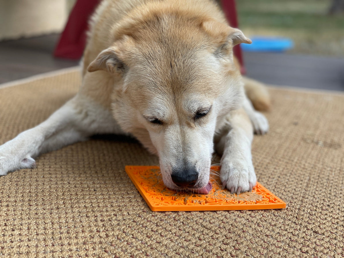 SodaPup Zombie Design Emat Enrichment Lick Mat