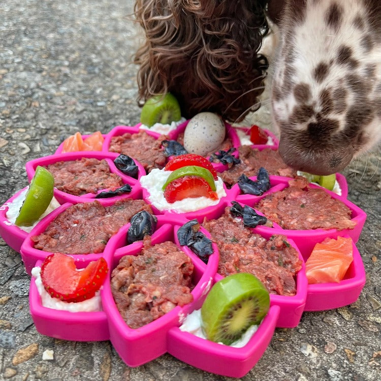 SodaPup Mandala Design eTray Enrichment Tray for Dogs