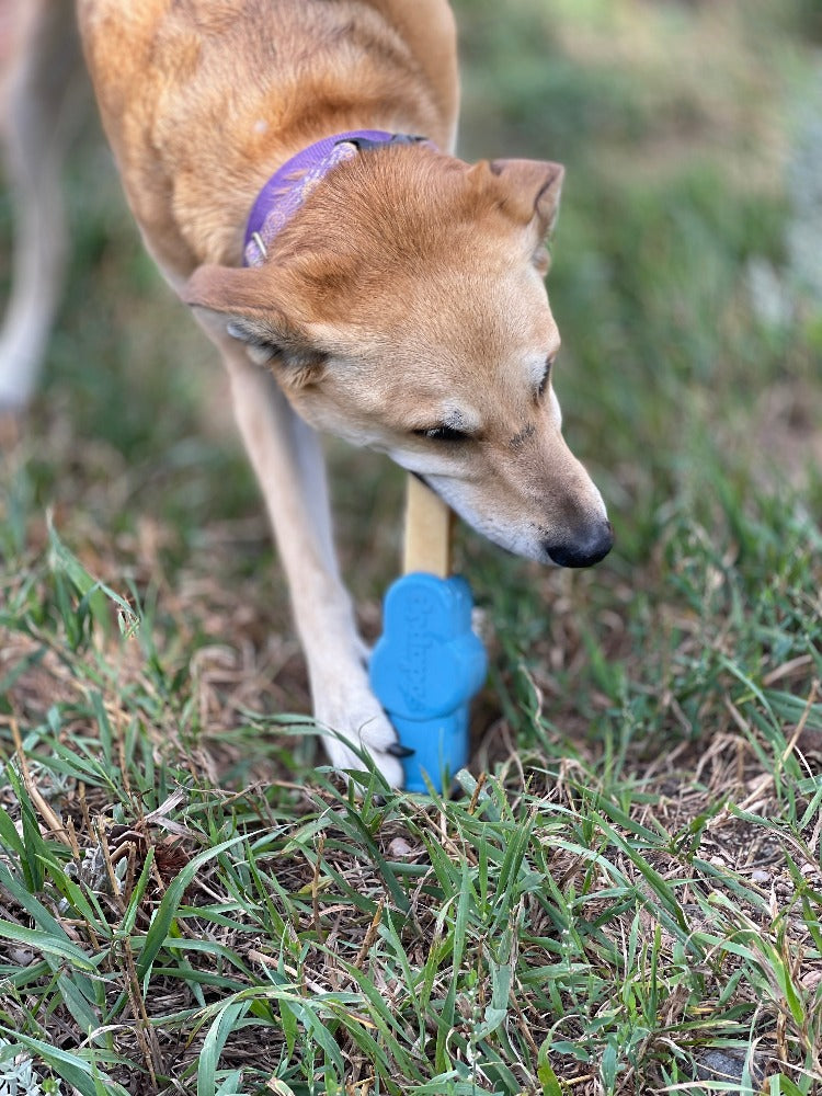 SodaPup Petz Rubber Yak Chew Holder