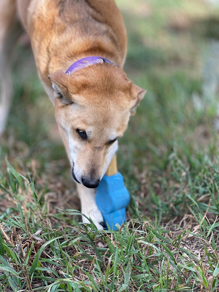 SodaPup Petz Rubber Yak Chew Holder
