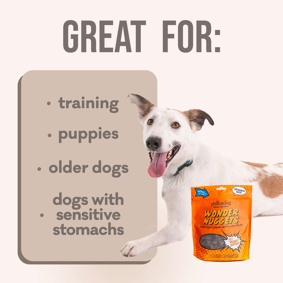 Polkadog Bakery Soft &amp; Chewy Wonder Nuggets Peanut Butter Dog Treats