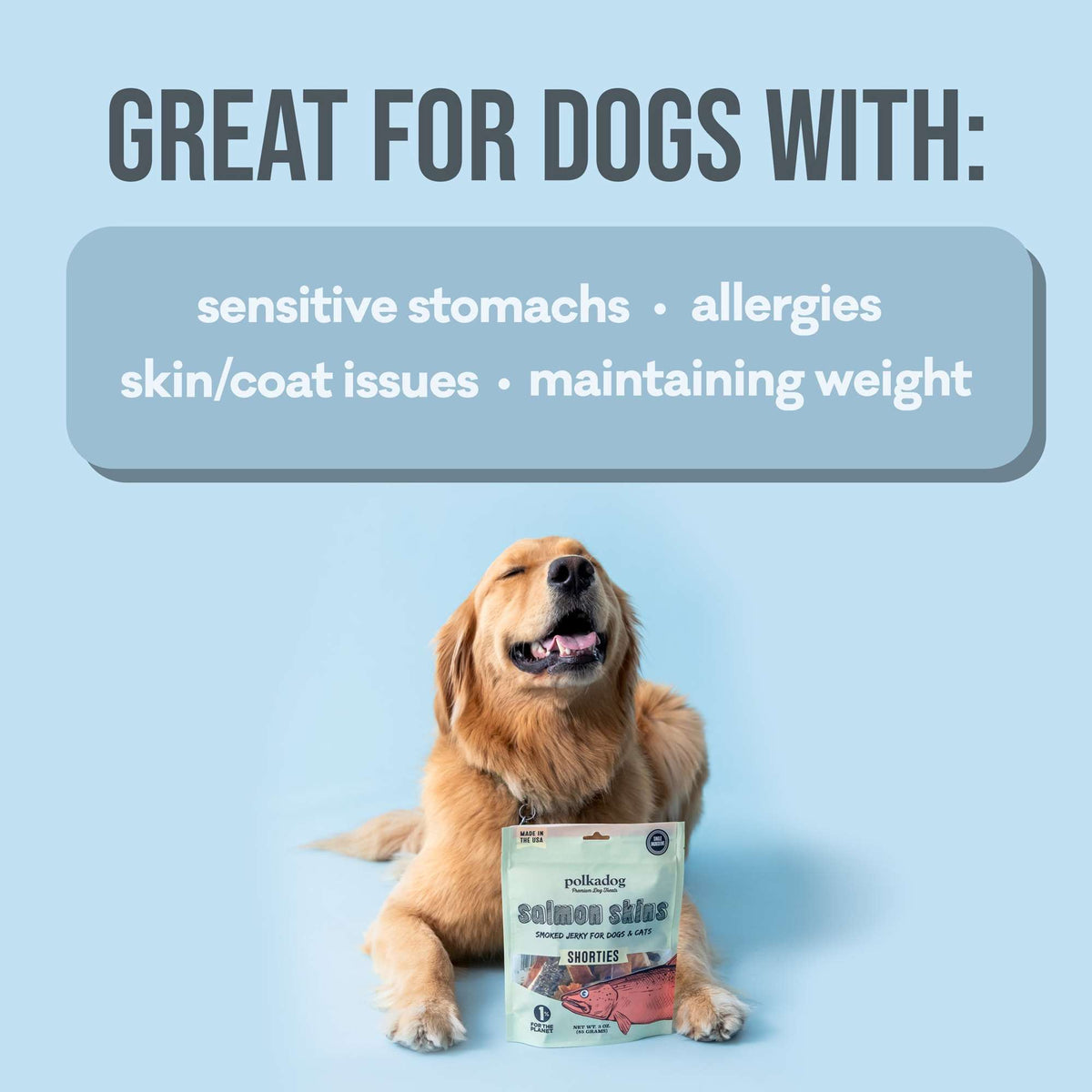 Polkadog Bakery Salmon Skins Smoked Jerky Dog &amp; Cat Treats