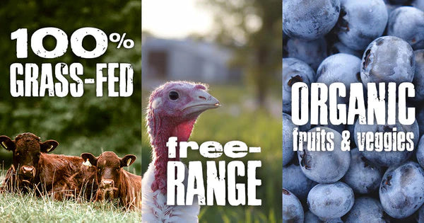 Raw Bistro Free-Range Turkey Entrée Frozen Raw Dog Food