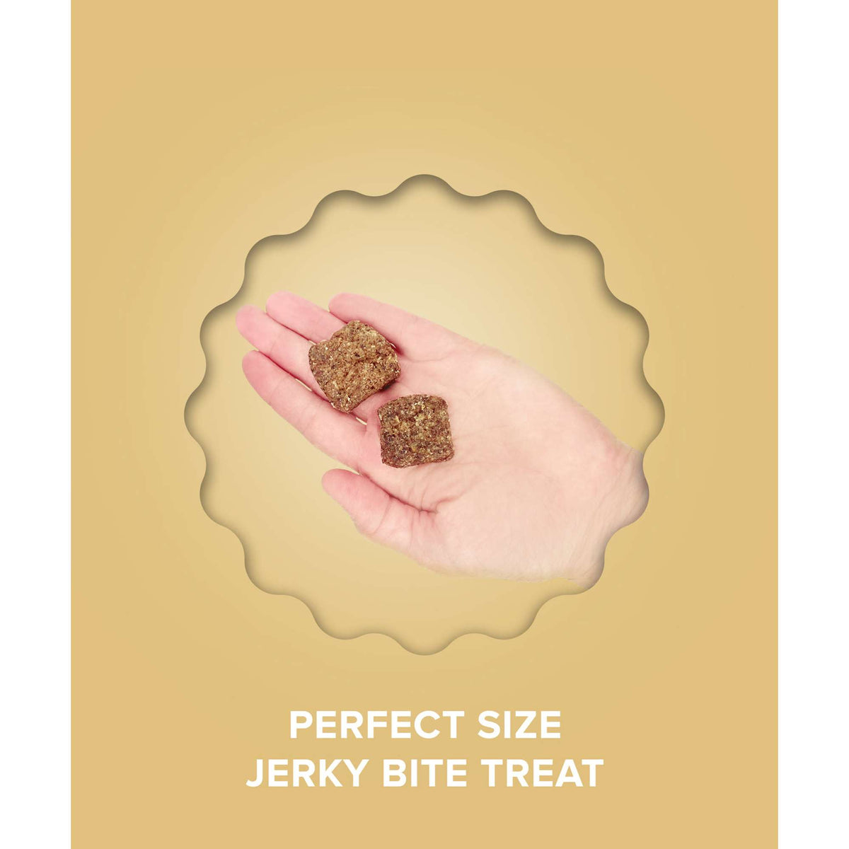 Plato Pet Treats Jerky Bites Beef with Bone Broth Dog Treats