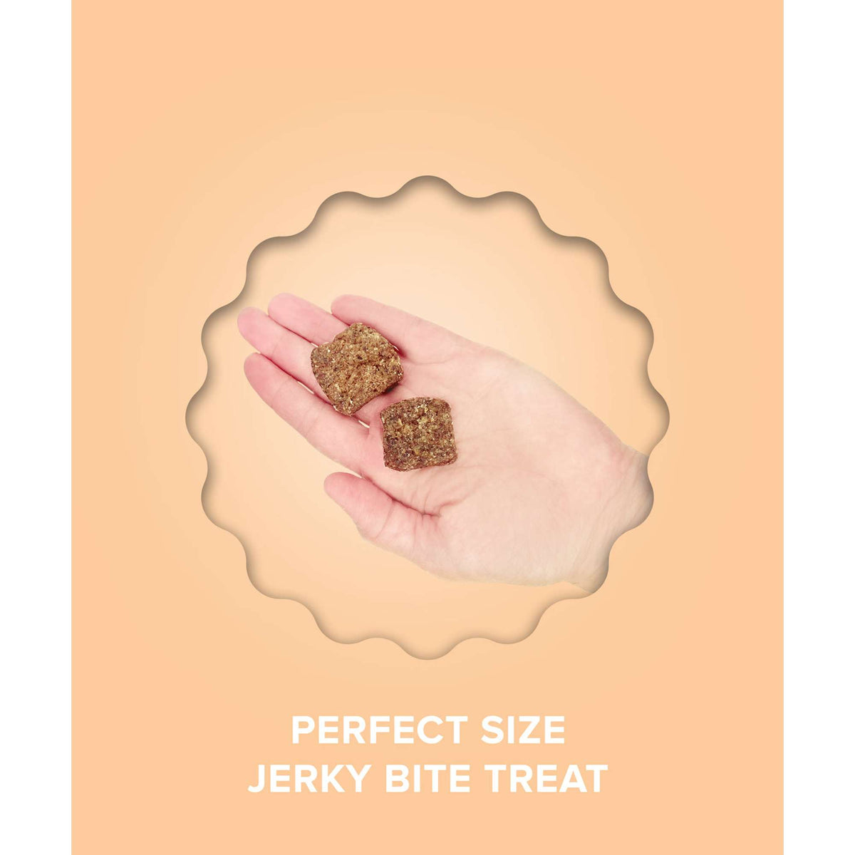 Plato Pet Treats Jerky Bites Turkey with Pumpkin Dog Treats