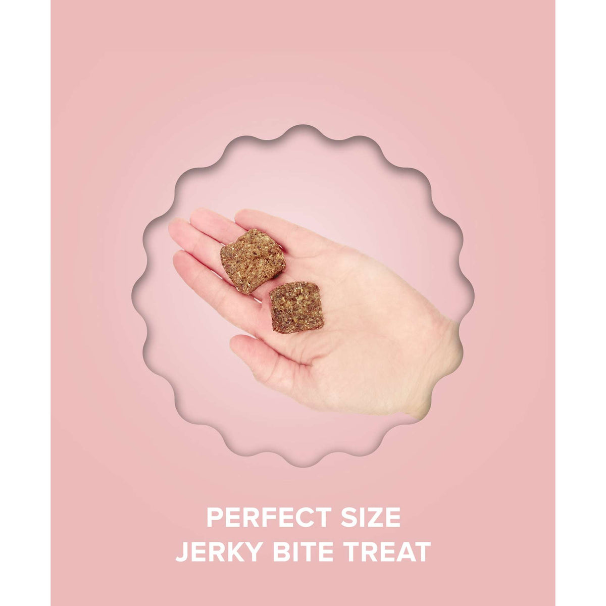 Plato Pet Treats Jerky Bites Duck with Cranberry Dog Treats