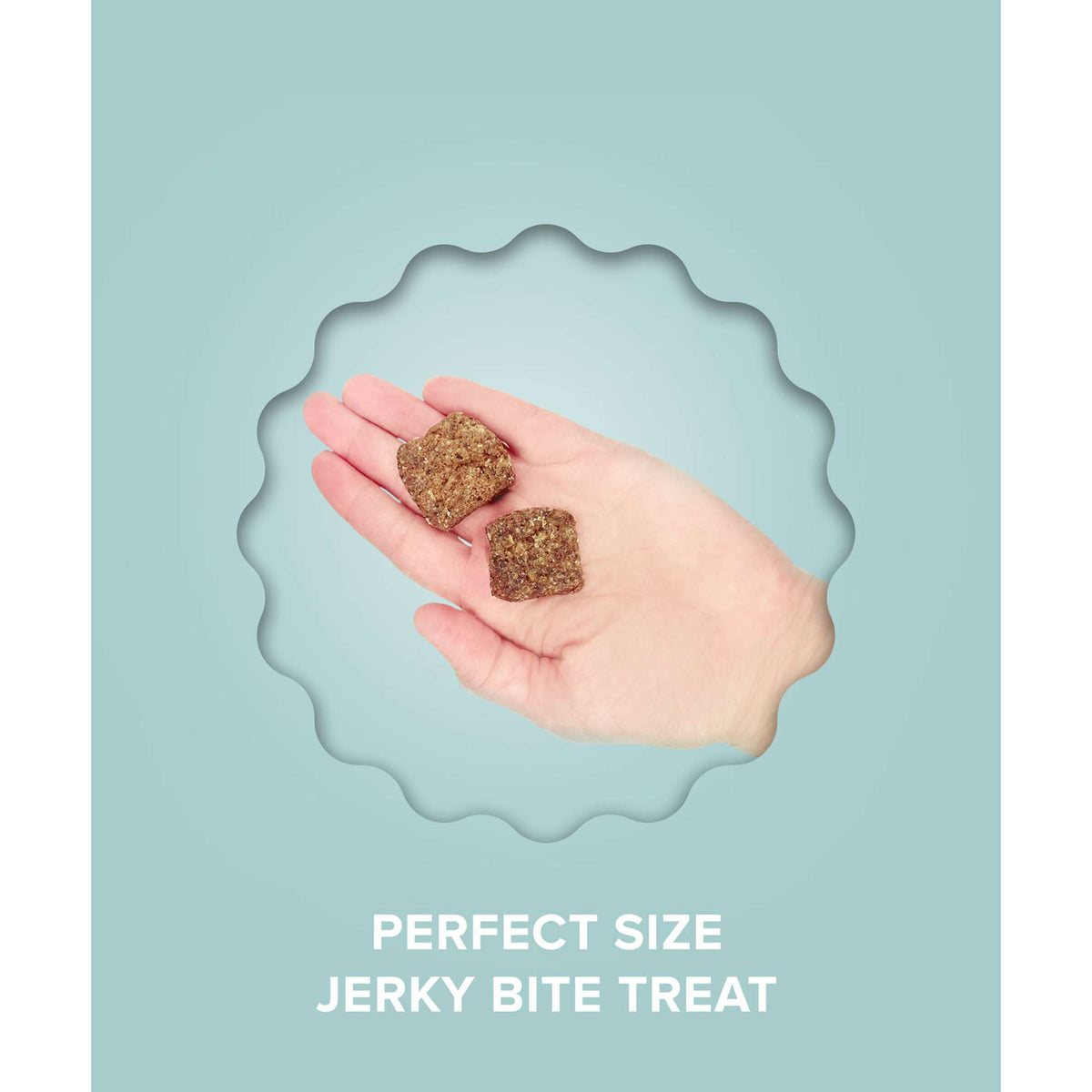 Plato Pet Treats Jerky Bites Lamb with Goat Milk Dog Treats