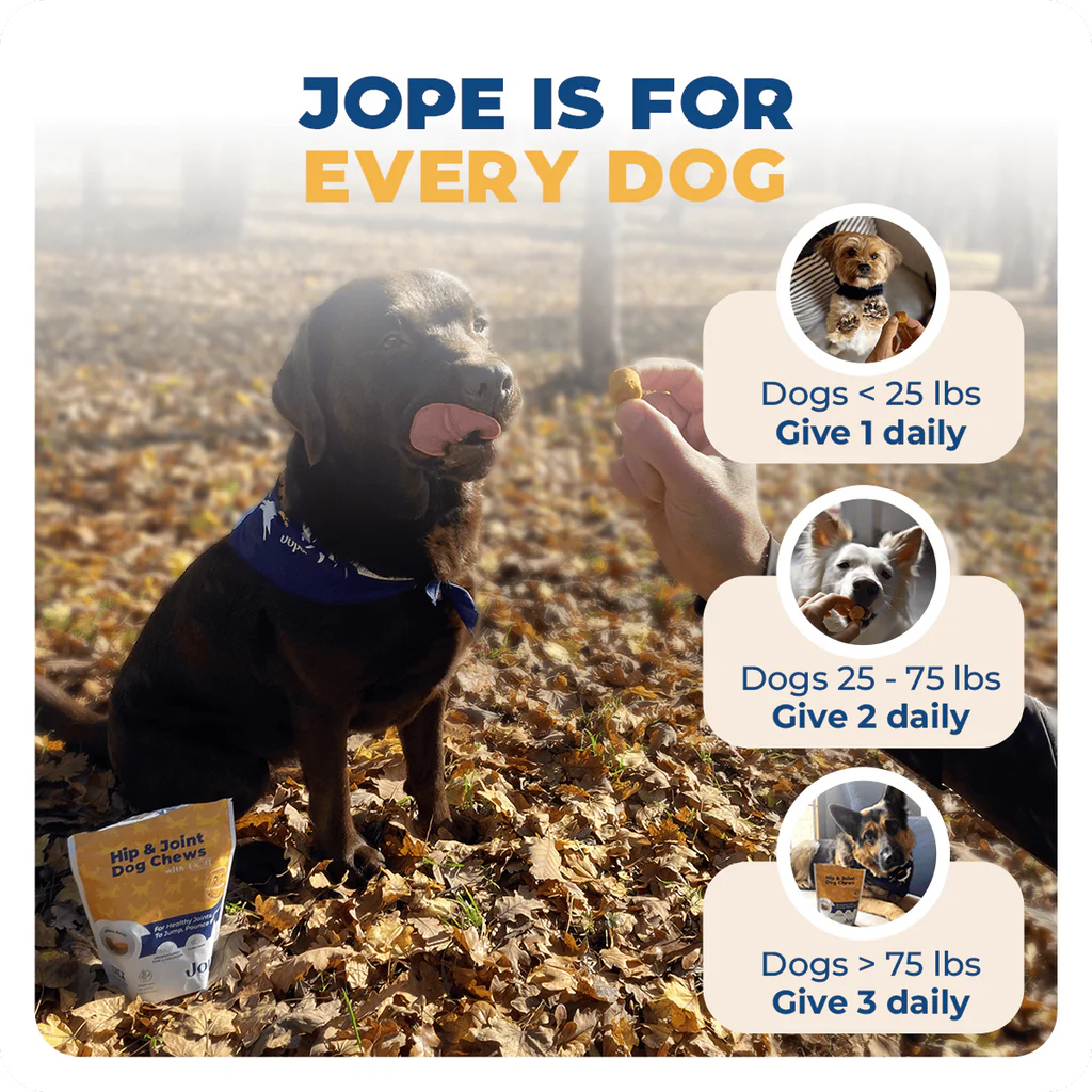 Jope Hip &amp; Joint Dog Chews