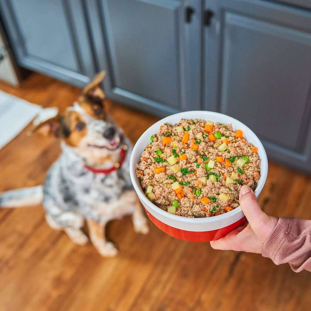 Stella &amp; Chewy&#39;s FreshMade Beefy-Licious Gently Cooked Dog Food