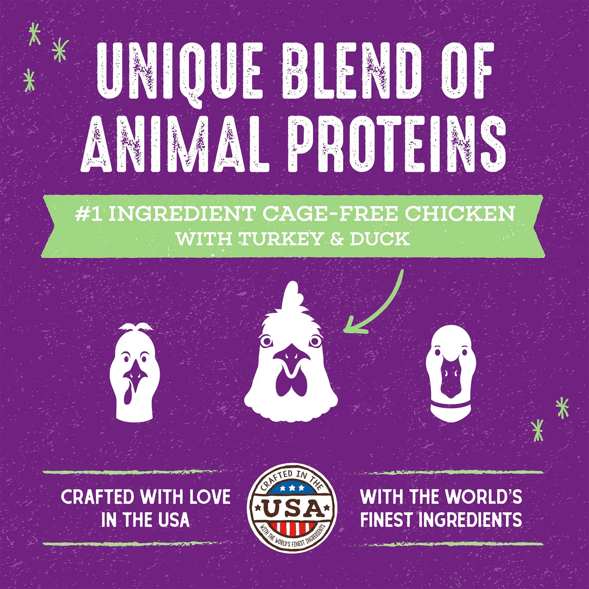 Stella &amp; Chewy&#39;s Kibble Raw Blend Cage Free Chicken Cat Food