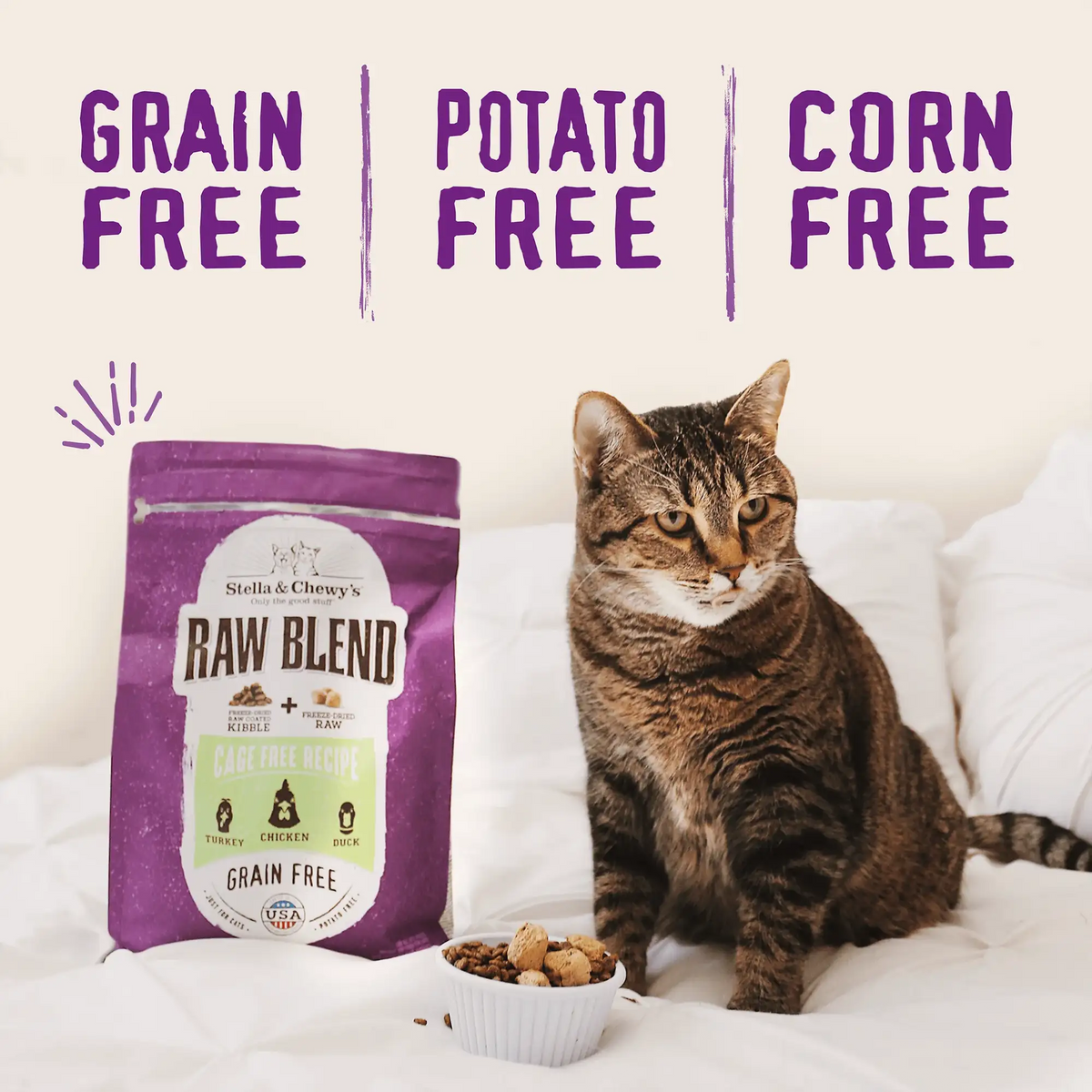 Stella &amp; Chewy&#39;s Kibble Raw Blend Cage Free Chicken Cat Food