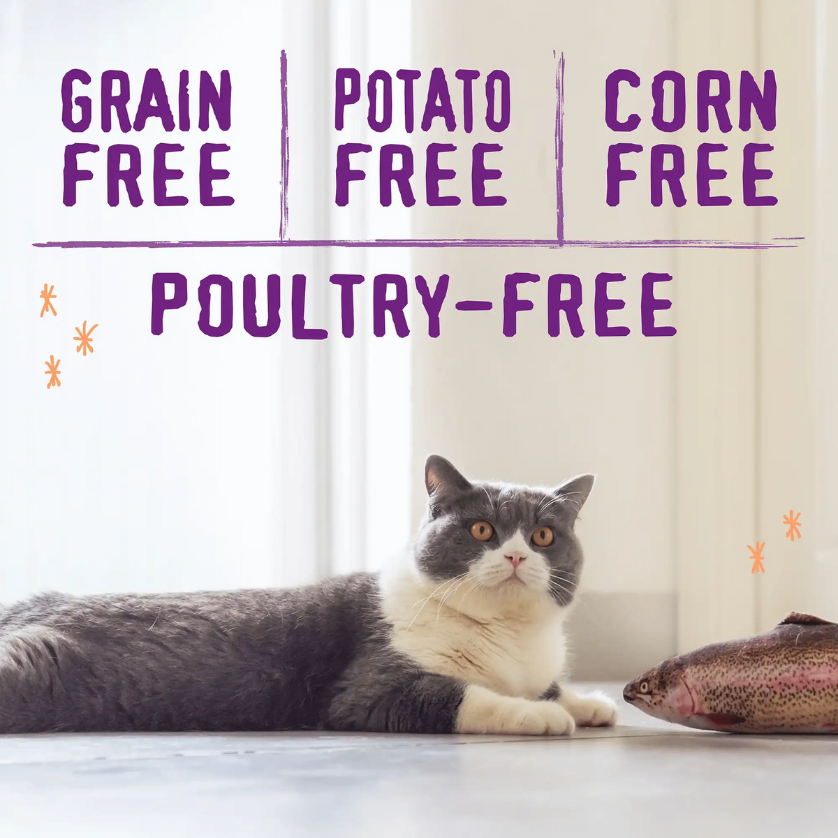 Stella &amp; Chewy&#39;s Kibble Raw Blend Wild Caught Cat Food
