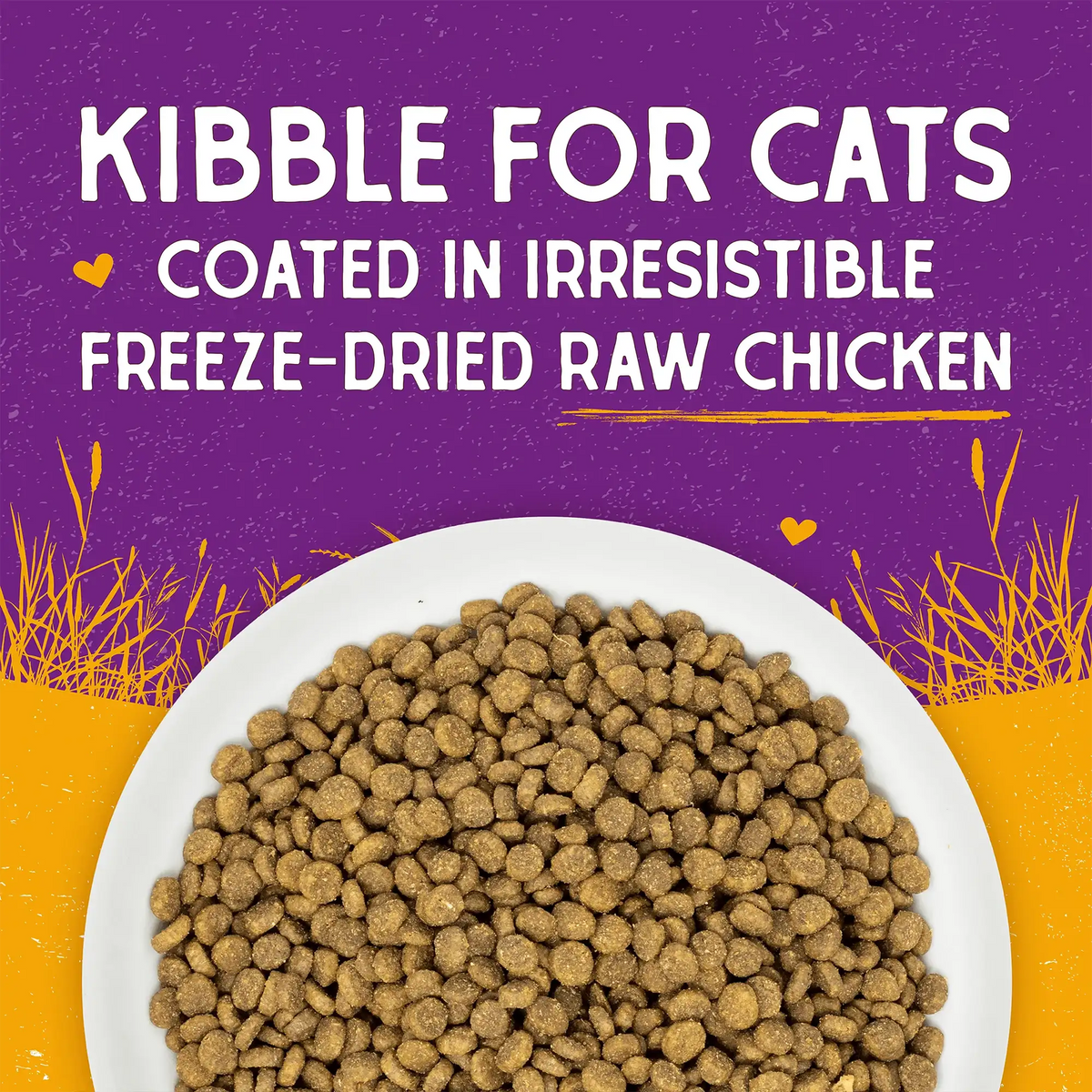 Stella &amp; Chewy&#39;s Kibble Raw Coated Chicken Cat Food