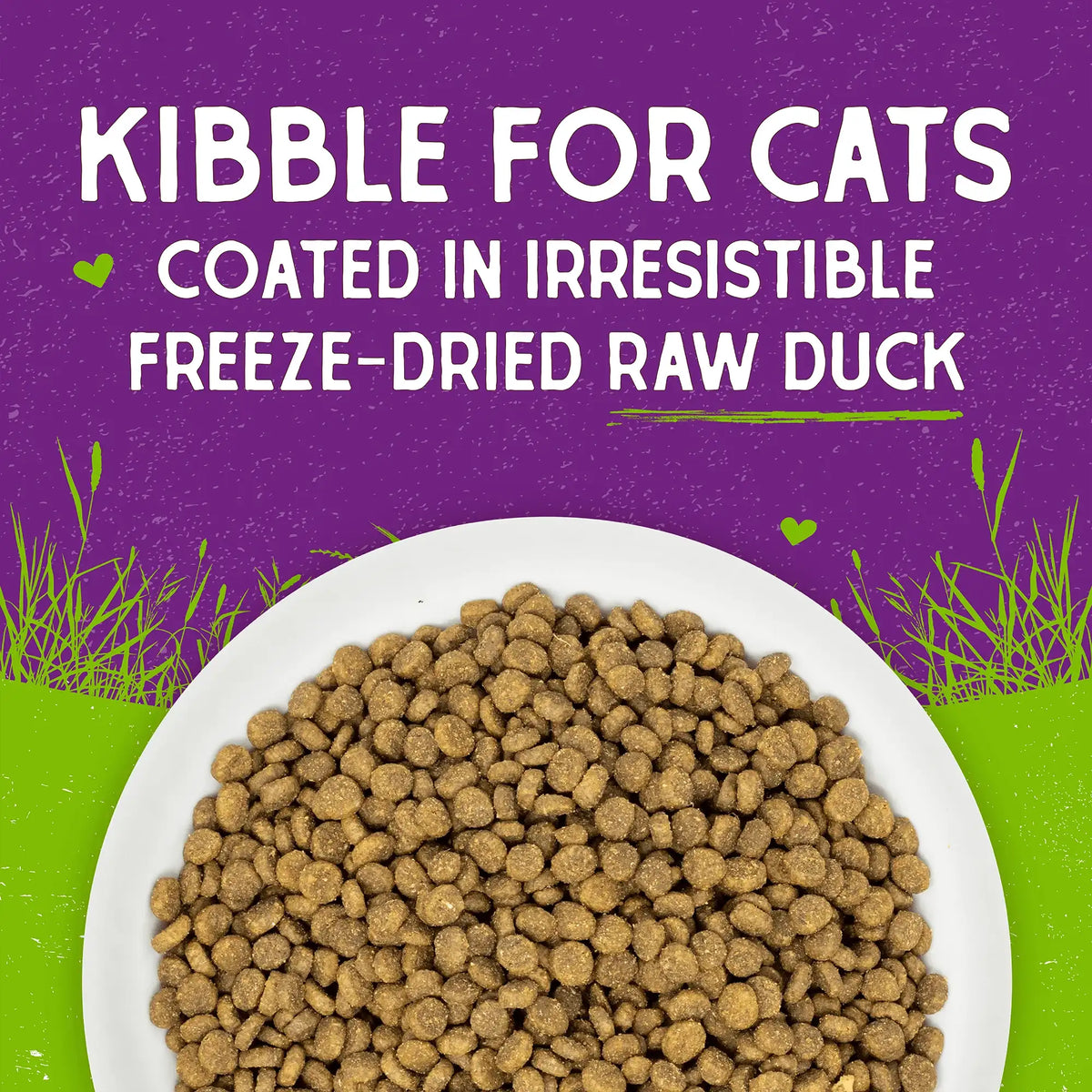 Stella &amp; Chewy&#39;s Kibble Raw Coated Duck Cat Food