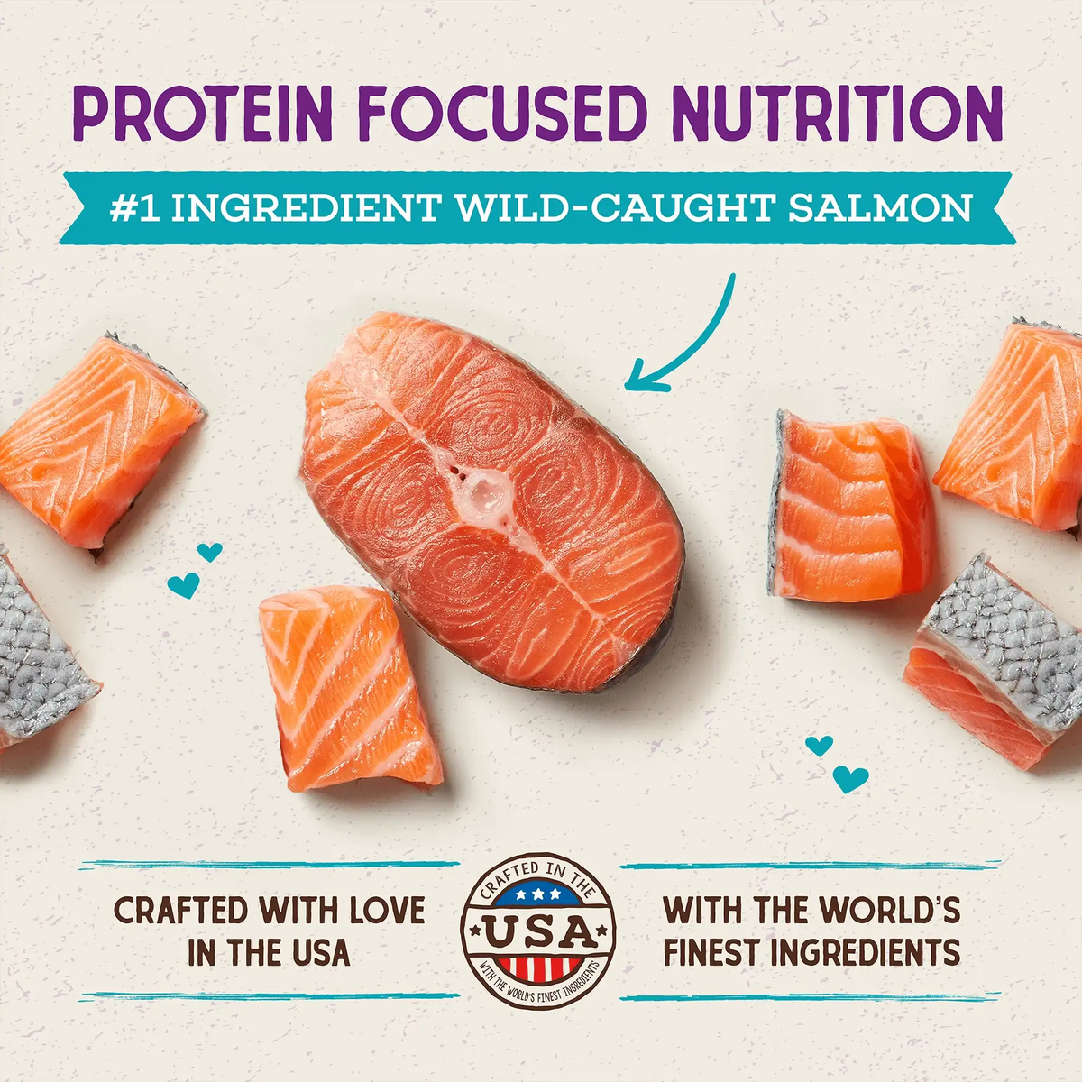 Stella &amp; Chewy&#39;s Kibble Raw Coated Salmon Cat Food