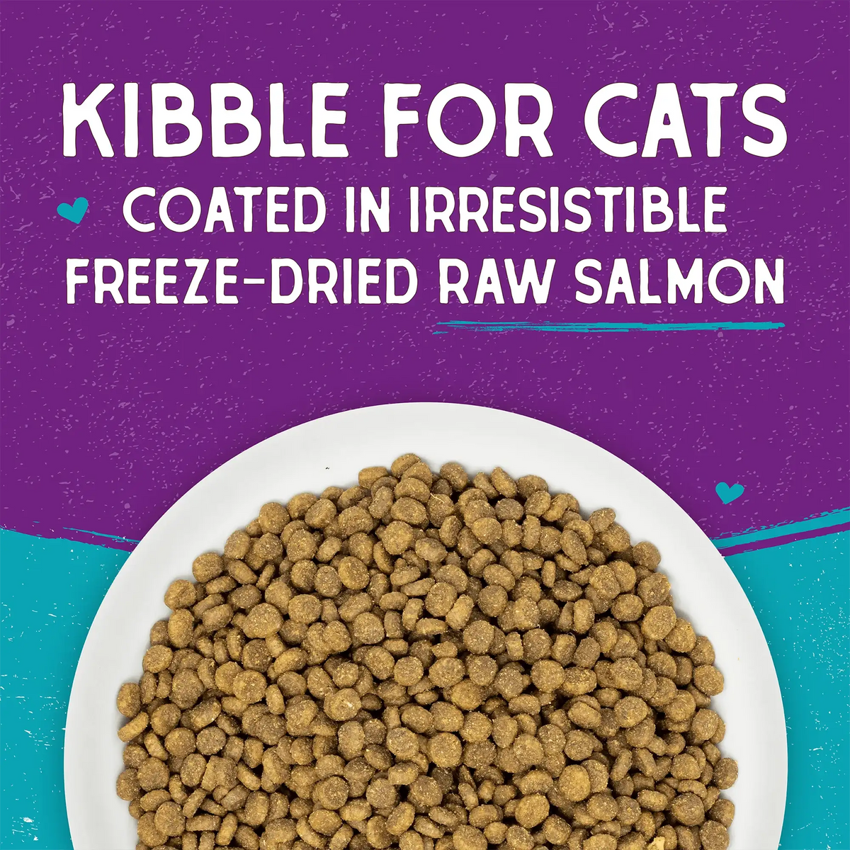 Stella &amp; Chewy&#39;s Kibble Raw Coated Salmon Cat Food