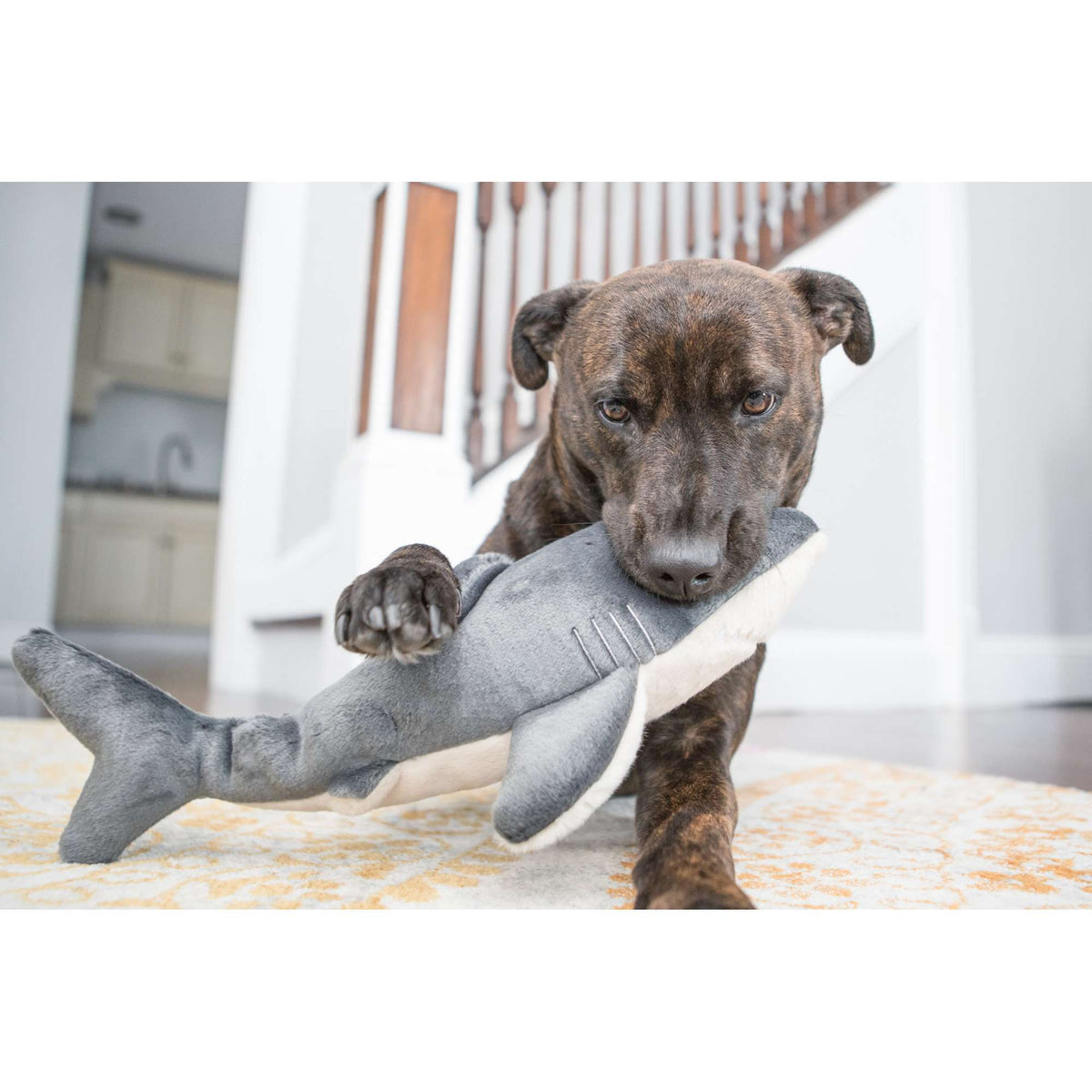 Fluff &amp; Tuff Mac the Shark Dog Toy