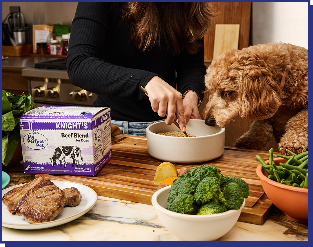 My Perfect Gently Cooked Grain Free Knight&#39;s Beef Blend Frozen Dog Food