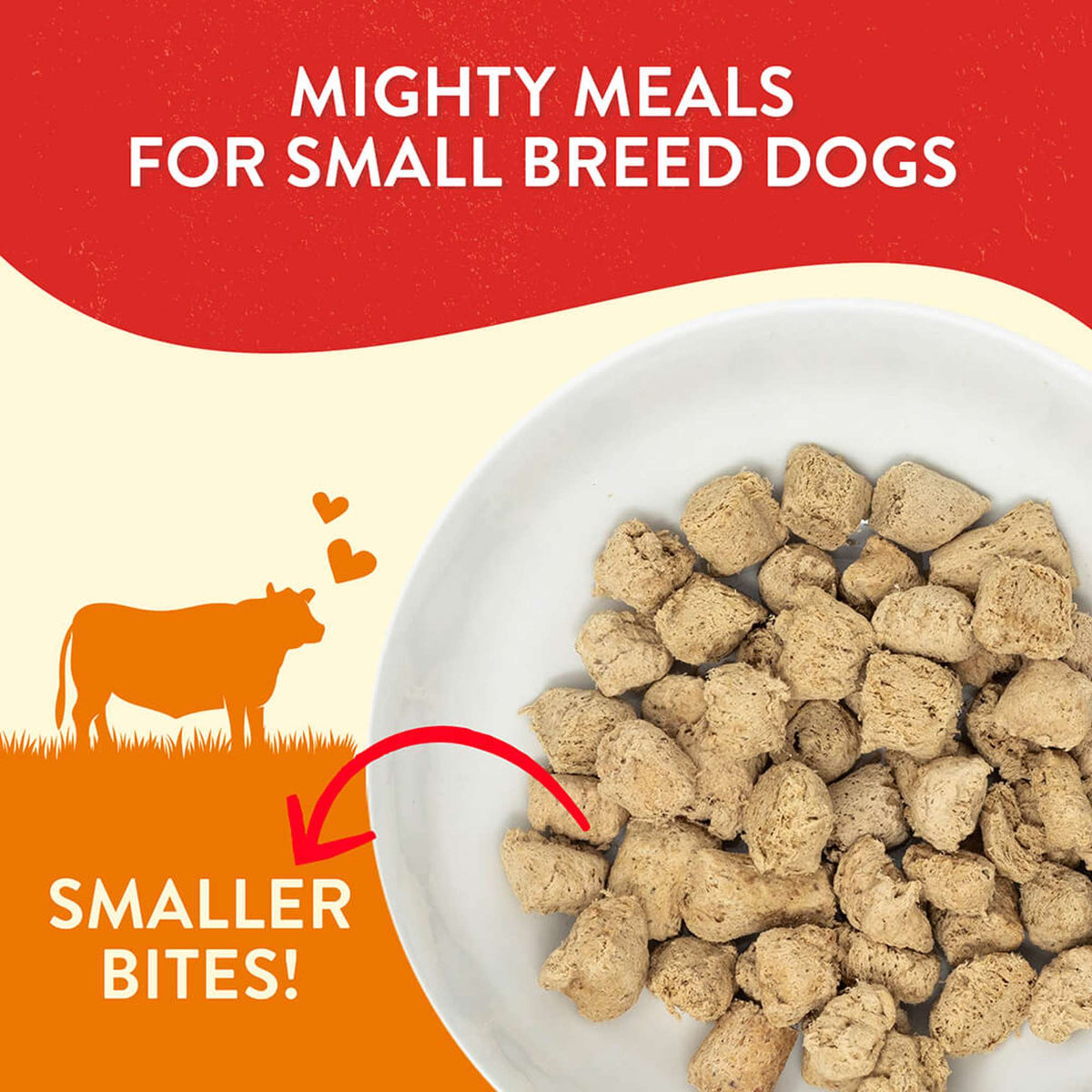Stella &amp; Chewy&#39;s Freeze-Dried Raw Lil Bites Beef Dog Food
