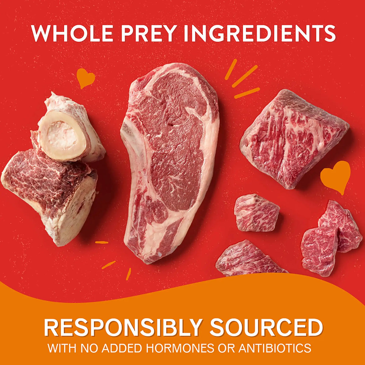 Stella &amp; Chewy&#39;s Freeze-Dried Raw Lil Bites Beef Dog Food