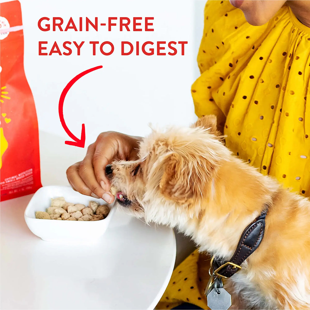 Stella &amp; Chewy&#39;s Freeze-Dried Raw Lil Bites Beef Dog Food
